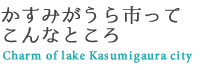 かすみがうら市ってこんな所